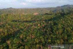 Mendorong Jambi sebagai pusat perhutanan sosial