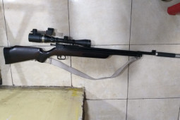Polres Taput tangkap pelaku penembakan dengan senapan angin