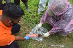 BKSDA nekropsi gajah tanpa kepala di Aceh Timur, ini hasilnya