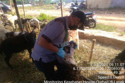 Distan Banten imbau penyembelih kurban patuhi prokes