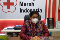 PMI Banjarmasin: 30 pasein COVID-19 harus antri dapat darah plasma