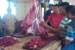 Harga daging sapi di Ternate  jelang Idul Adha naik jadi Rp150 ribu per Kg, begini penjelasannya