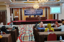 Kacap: PNM konsisten bina UMKM di tengah pandemi COVID-19