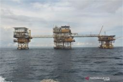 Sektor migas jadi andalan penuhi kebutuhan energi masa depan