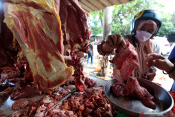 Harga daging "meugang" naik jadi Rp160 ribu per kilogram