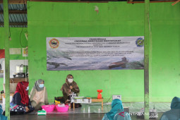 Akademisi: Beberapa khasiat "iwak saluang" dan "waluh"