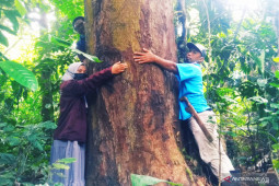 Balitek KSDA segera identifikasi  usulan Taman Kehati PPU