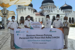 BSI serahkan hewan kurban untuk Aceh Rp225 juta
