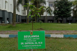 Pj Gubernur Kalsel tanam pohon Seulanga di Halaman Kantor Gubernur