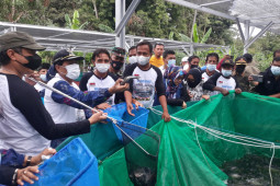Pemkab Donggala kenalkan manfaat konsumsi ikan  di daerah terpencil