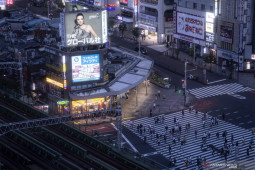 Altet Uganda yang hilang tertangkap kamera di stasiun Nagoya Jepang