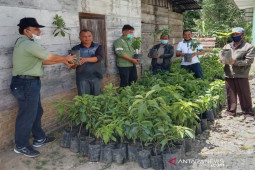 Rangkul masyarakat adat, ini bentuk kemitraan TPL di wilayah operasional perusahaan