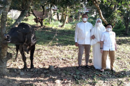 Polres Binjai sembelih delapan ekor lembu, 11 ekor kambing pada Idul Adha 1442 H