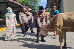 Polres Langkat sembelih hewan kurban tujuh ekor sapi dan dua ekor domba