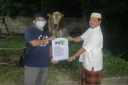 Pemkab Serang salurkan puluhan hewan kurban ke ponpes