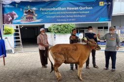 PLN sumbangkan 2.977 hewan kurban