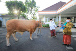 Pemkot Madiun bagikan daging kurban untuk ratusan anak stunting