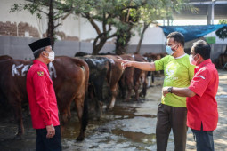 PDIP Surabaya: Jadikan Idul Adha semangat pengorbanan hadapi pandemi COVID-19