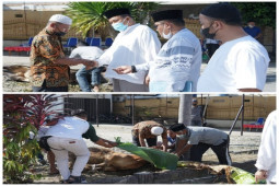 Wali Kota Tebing Tinggi serahkan hewan qurban