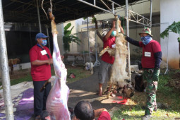 Puluhan Paspampres tes antigen sebelum sembelih hewan kurban