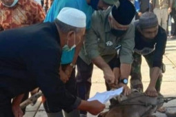 Cegah kerumunan, Bupati  minta panitia kurban bagikan ke rumah warga