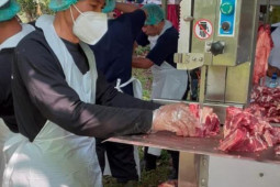 Masjid UI terapkan metode ASIH saat sembelih hewan kurban