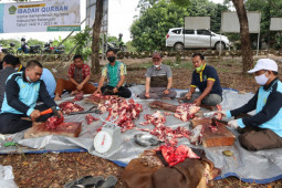Kemenag Balangan bagikan daging kurban kepada fakir miskin