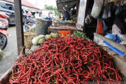 Harga cabai di Simeulue naik seratus persen