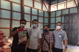 29.906 KPM di Ketapang terima beras bantuan BB-PPKM 2021