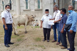 Perusahaan migas salurkan 11 ekor hewan kurban