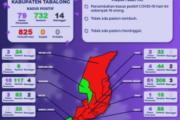 Pasien COVID-19 dalam perawatan di Tabalong bertambah 18 orang