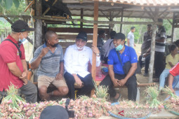 Legislator dukung pengembangan sentra bawang merah di Muarojambi