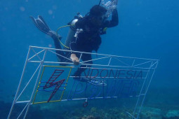 PLN Group bersama BPSPL Denpasar dan Pokmaswas tanam 1.000 bibit karang di laut Pandanan KLU