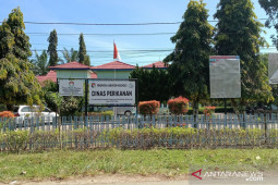 Mukomuko beli benih ikan gurami dari petani