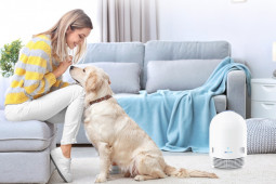 Pentingnya menjaga kebersihan udara meski di rumah saja