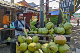 Pedagang kelapa muda di Cianjur raup keuntungan selama PPKM