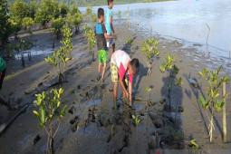 Kadis LH sebut mangrove di Simeulue terjaga dengan baik