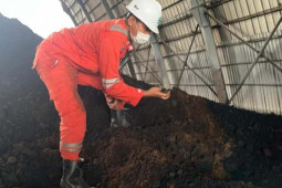 PLN lakukan metode "co-firing" di PLTU Jeranjang