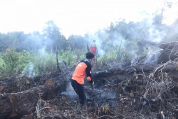 Waspada Karhutla mulai terjadi di Kapuas Hulu