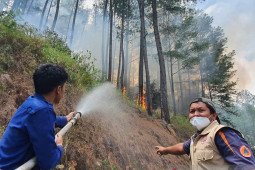 Dalam sepekan, kebakaran hutan dan lahan di Bener Meriah capai 42 hektare