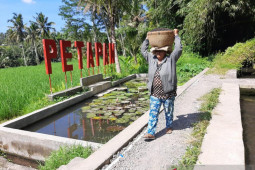 "PLN Peduli" latih Pemandu Wisata Air Terjun Petapan di Klungkung