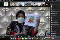 Mensos Risma minta Pemda perhatikan prediksi bencana BMKG pascagempa pacitan