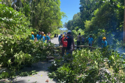 Tingkatkan kehandalan, PLN Sinabang "grebek" penyulang