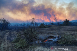 KBRI Ankara: Tak ada WNI jadi korban kebakaran hutan di Turki