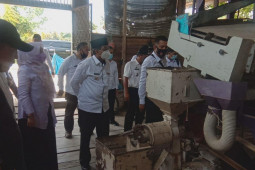 Pemkab Tanjabbar minta petani perhatikan mutu beras