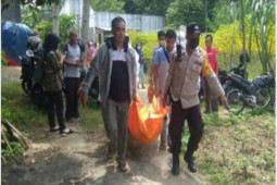 Seorang kakek tewas disengat tawon di Tebing Tinggi