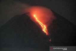 Awan panas guguran Gunung Merapi meluncur sejauh 2,5 km