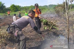 Puluhan titik api muncul di Bengkayang Kalbar