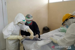 30 hari, 61 kasus kematian akibat COVID-19 di Banggai