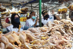 Sejumlah bahan pokok di Paser alami penurunan harga selama PPKM